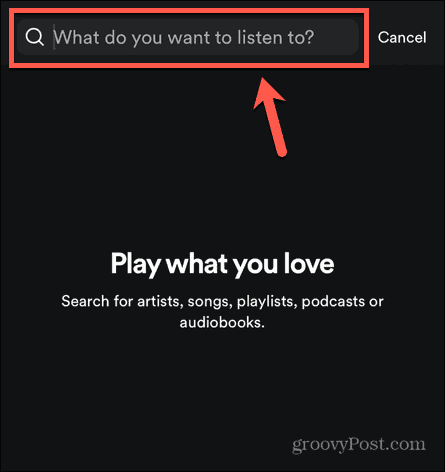 spotify arama alanı