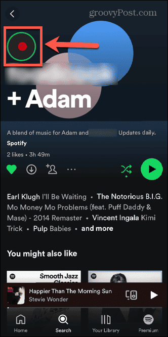 spotify hikaye simgesi