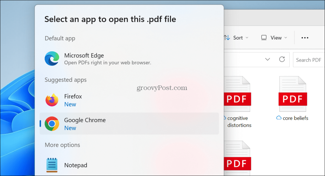 Windows 11'de Varsayılan PDF Görüntüleyici