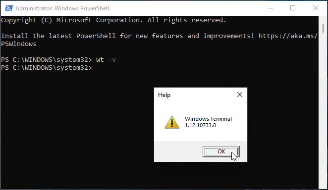 Windows terminalinin sürümü