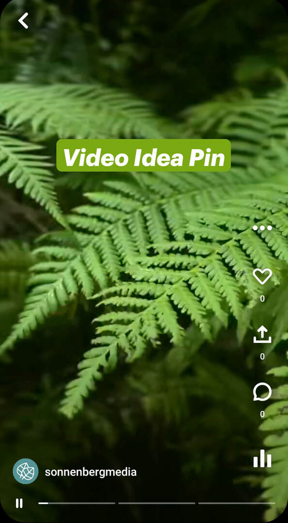 Pinterest-fikri-pinleri nedir-sonnenbergmedia-video-pin-example-1