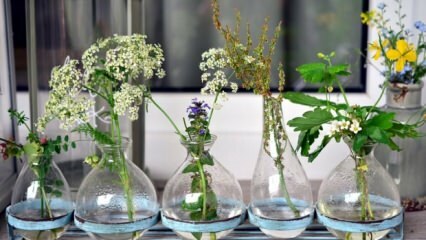 Vazo çiçeklerinin solmaması için ne yapılmalı?
