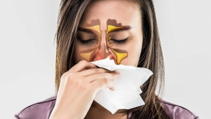 Alerji nedir? Alerjik rinit belirtileri nelerdir? Kaç çeşit alerji vardır? 