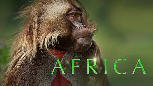 Afrika / Africa (2013)