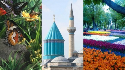 Konya'da gezi rehberi