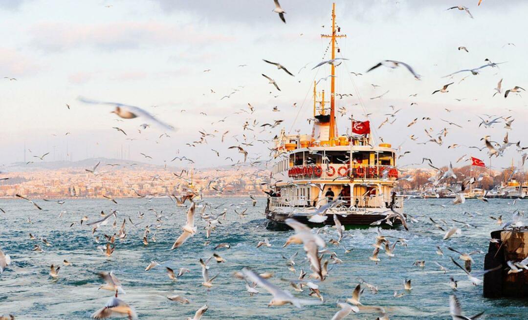 Yeni açılan deniz hattı seferleri hangileri? Yeni açılan deniz hattı seferleri ne kadar?