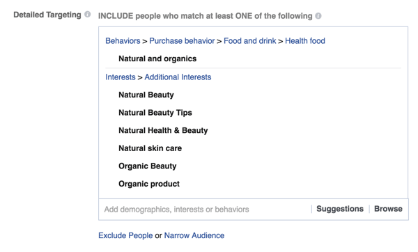 facebook reklamı ayrıntılı hedefleme seçenekleri örneği