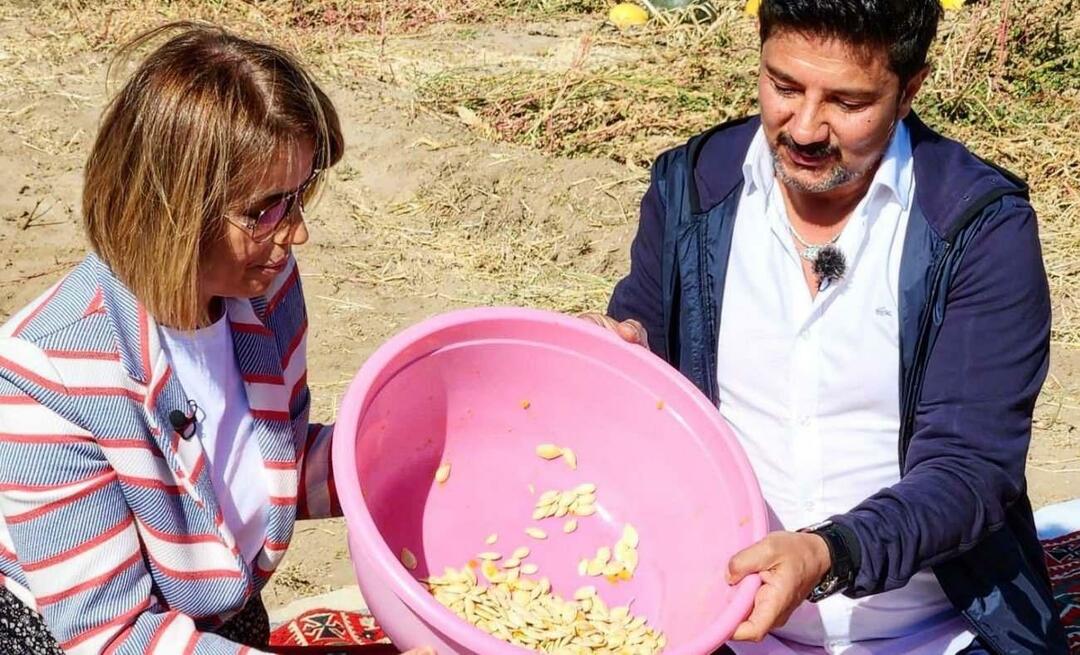 Nevşehir'de çerezlik kabak çekirdeği hasadı yapıldı!