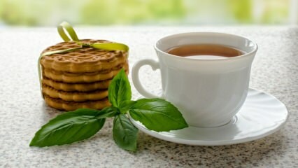 Fesleğenin faydaları nelerdir? Fesleğen çayı nasıl yapılır?