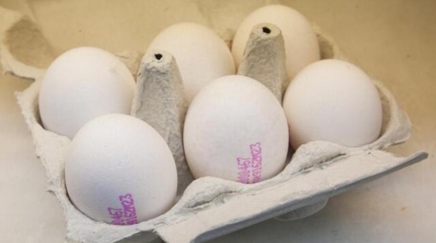 Organik yumurta nasıl anlaşılır? Yumurtanın kodları ne anlama gelir?