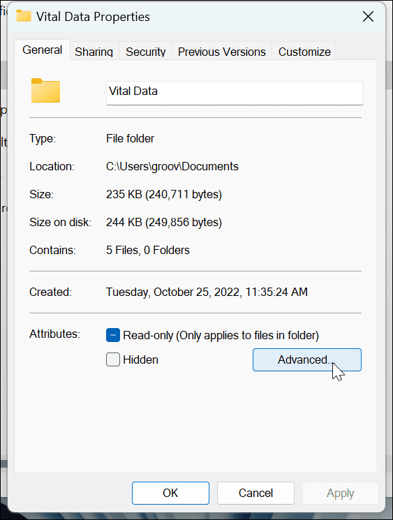 Windows 11'de Dosyaları ve Klasörü Şifreleyin