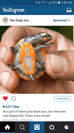 hayvanat bahçesi instagram reklamı