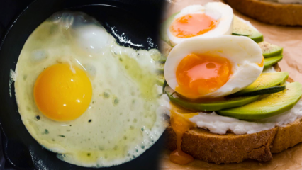 Hangi yağlar sağlığımız için faydalıdır? Yumurtayı az pişmiş tüketirseniz...