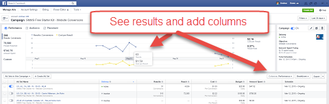 facebook reklam yöneticisi grafik sonuçları