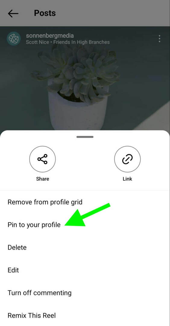 nasıl yapılır-instagram-pin-makaraları-profil-ızgara-sonnenbergmedia-adım-1