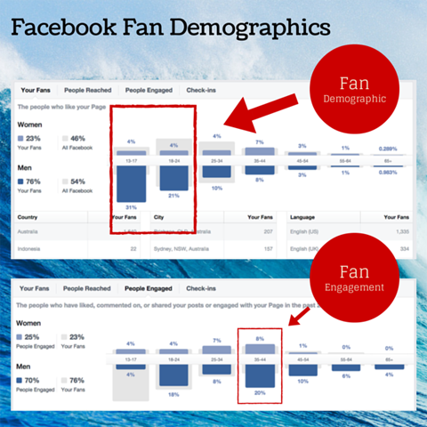 facebook hayran demografik tablosu