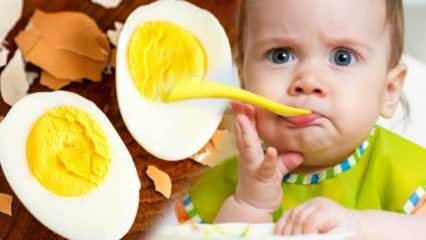 Bebeklere yumurta sarısı nasıl verilmeli? Yumurtaya kaçıncı ay başlanır? Bebek yumurtası tarifi