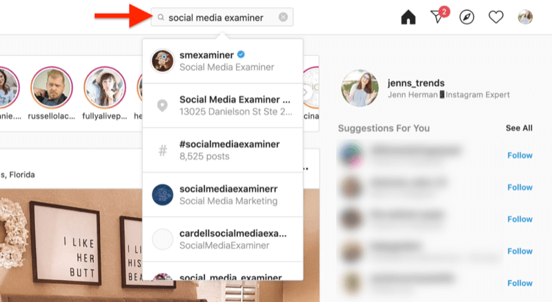 sosyal medya denetleyicisinin arama terimlerini kullanarak bir instagram hesabı aramasını gösteren masaüstü ekran görüntüsü