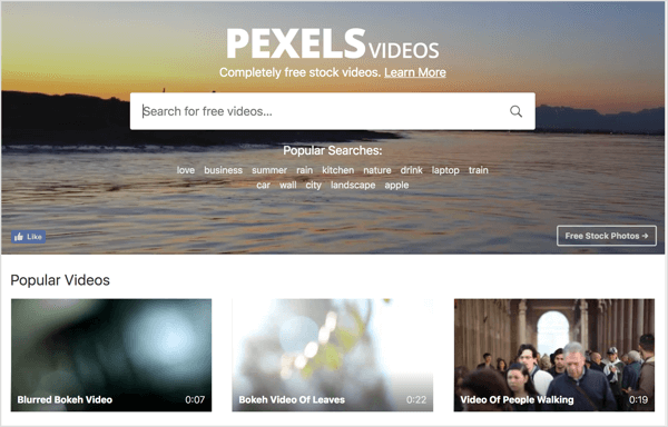 Pexels, LinkedIn video reklamlarınızda kullanabileceğiniz ücretsiz stok videolar sunar.