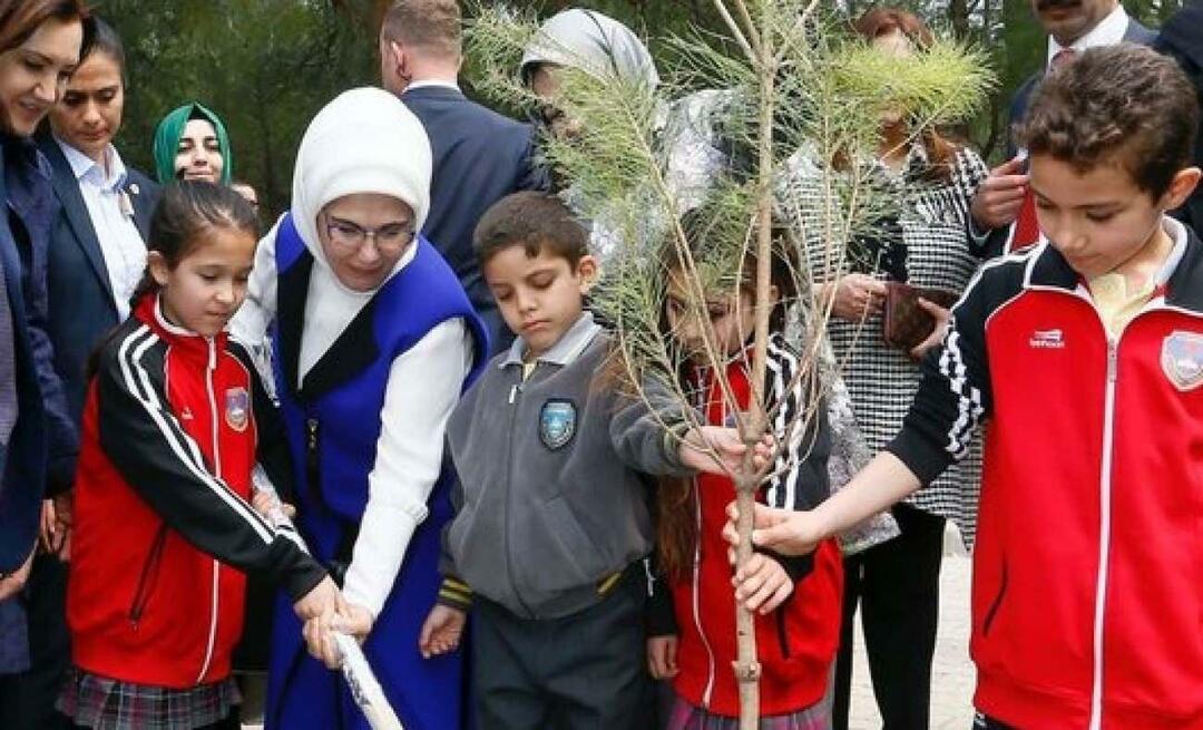 Emine Erdoğan'dan Milli Ağaçlandırma Günü paylaşımı