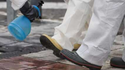 Tam teşekküllü ayakkabı temizliği nasıl yapılmalı? Ayakkabı altı nasıl dezenfekte edilir?
