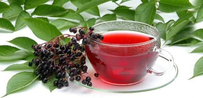 mürver çayı bağışıklık sistemi için inanılmaz fayda sağlar
