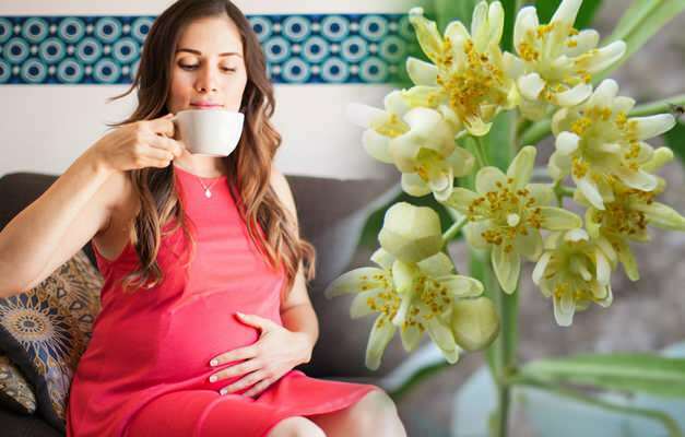 Hamilelikte bitki çayı içilir mi? Hamilelikte riskli bitki çayları