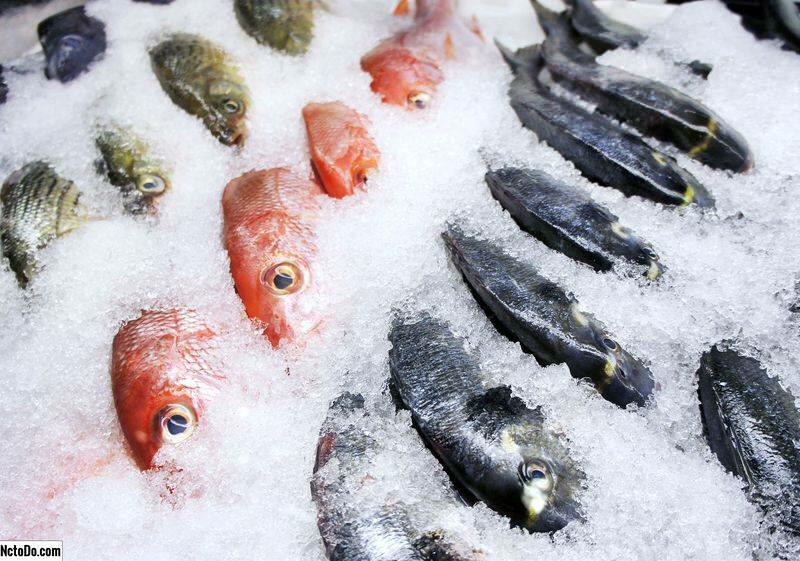 Balık nasıl saklanır? Dondurucuda balık saklamanın püf noktaları nelerdir