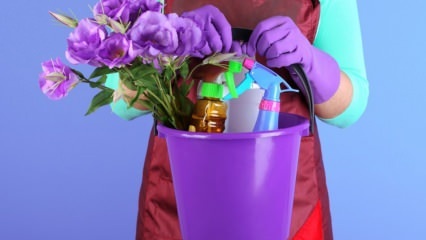 Perşembe günü ev temizliğinin sırları nelerdir? Kandillerde ev temizliği