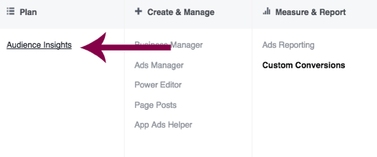 Facebook Ads Manager'da Audience Insights'a gidin.