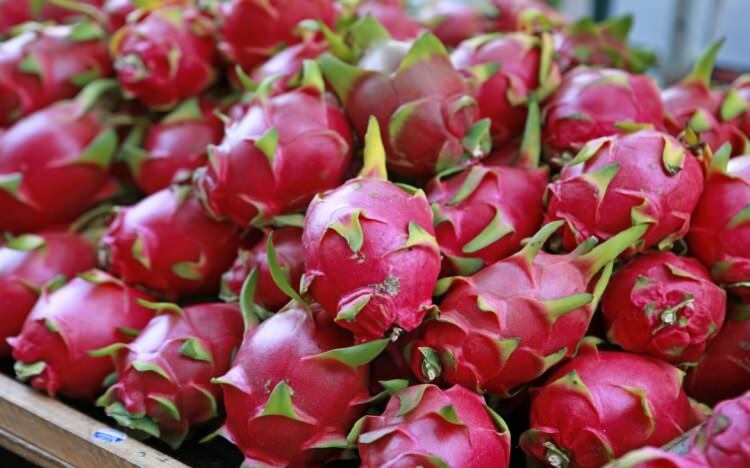 Pitaya'nın faydalarını biliyor musunuz?