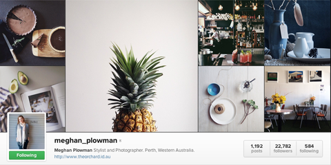 meghan plowman instagram profili