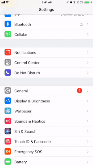 Ekran Kaydı özelliğini iOS cihazınızın Kontrol Merkezine ekleyin.