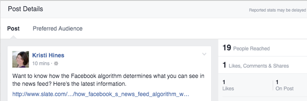 facebook kitle optimizasyonu gönderi ayrıntıları