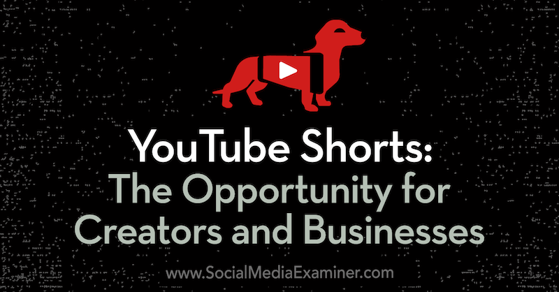 YouTube Kısaları: İçerik Oluşturucular ve İşletmeler için Fırsat: Sosyal Medya İnceleyicisi