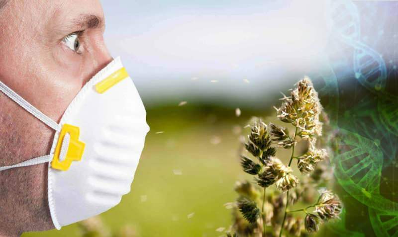 polen alerjisi arttı