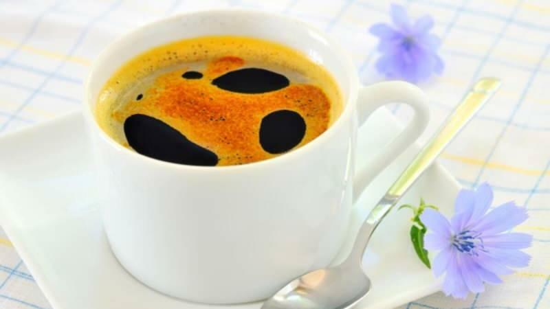 Metabolizmayı uçuran mucize: Hindiba Kahvesi