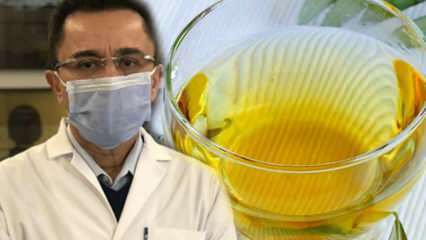 Virüse karşı mucize çay: Zeytin yaprağı çayının faydaları nedir? Zeytin yaprağı çayının yapımı