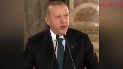Başkan Erdoğan: Siyasi tarafını polemiklere döken sanatçılar bizi üzüyor