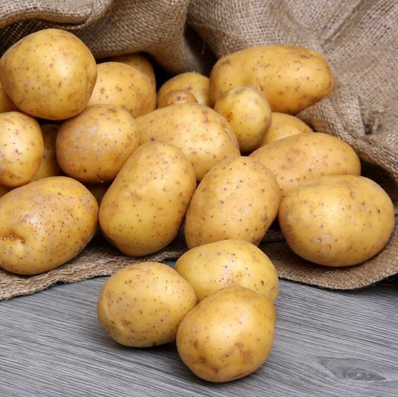 Yemeklik patates ve kızartmalık patates arasındaki fark nedir