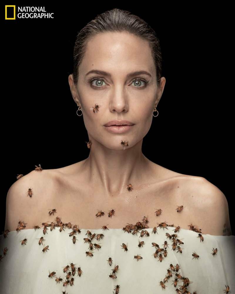 Angelina Jolie, arılar için arılarla objektif karşısında!