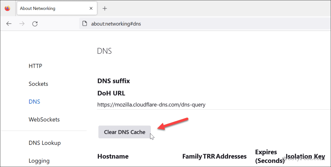 DNS Önbelleğini Temizle 