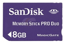 Dandisk Hafıza Kartı 8GB