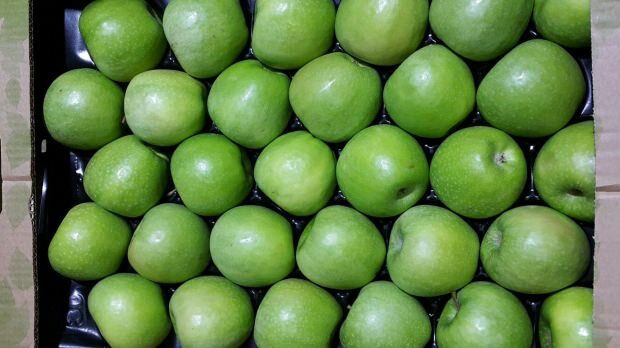 yeşil elma ne işe yarar