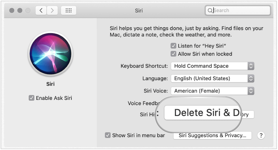 Mac'te Siri Geçmişini silme