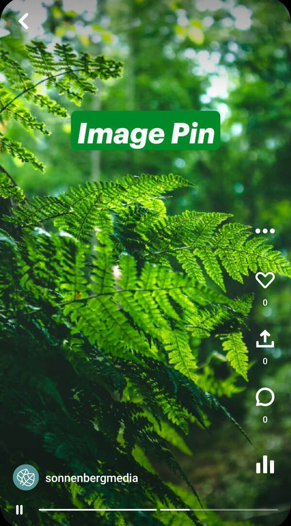 Pinterest-fikir-pinleri nedir-sonnenbergmedia-image-pin-example-2