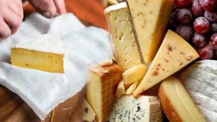 Peynir nasıl saklanır? Peynir buzdolabına nasıl koyulmalı? Peynir kokusu