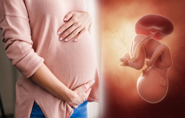 Hamilelik belirtileri neler? Erken hamilelik belirtileri