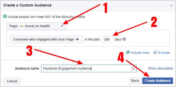 Facebook sayfası etkileşim özel hedef kitlenizi oluşturmak için ayrıntıları doldurun.