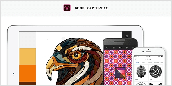 Adobe Capture, bir mobil cihazla yakaladığınız bir görüntüden bir palet oluşturur. Web sitesinde bir kuş resmi ve açık gri, sarı, turuncu ve kırmızımsı kahverengi içeren resimden oluşturulan bir palet gösterilmektedir.